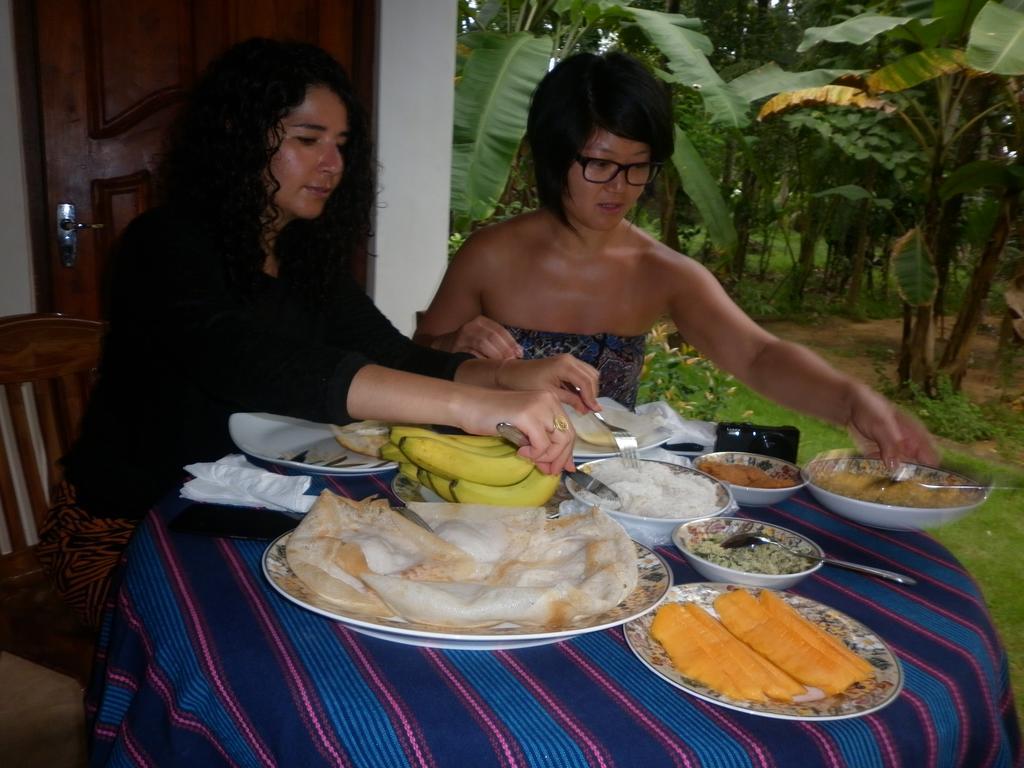 Binara Home Stay Polonnaruwa Kültér fotó